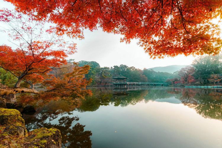 污水 污水